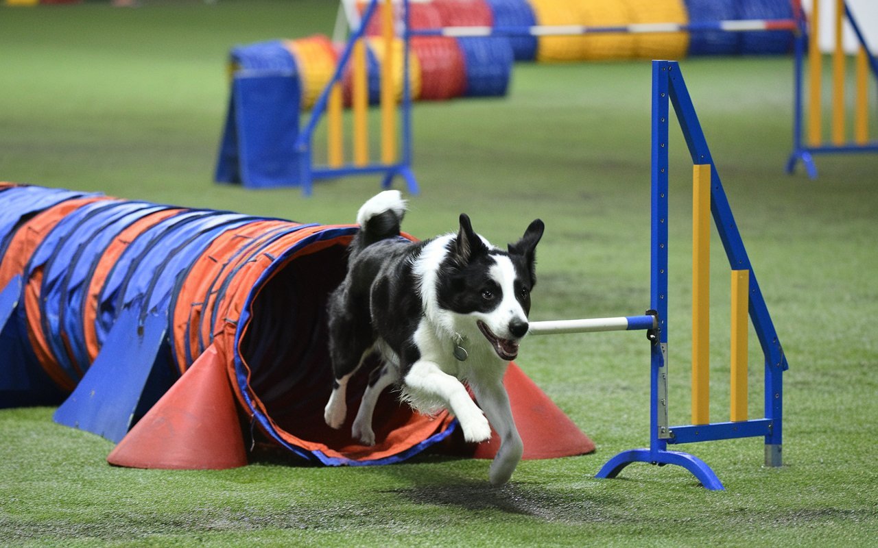 Preventing Herding Behaviors